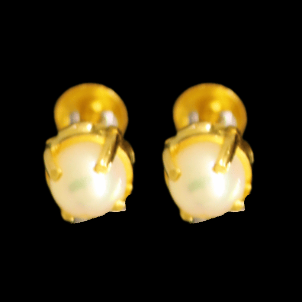 18k Gold Earrings  
