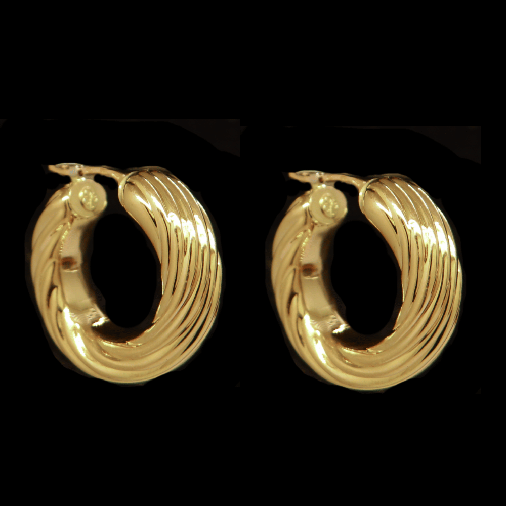 18k Gold Earrings    