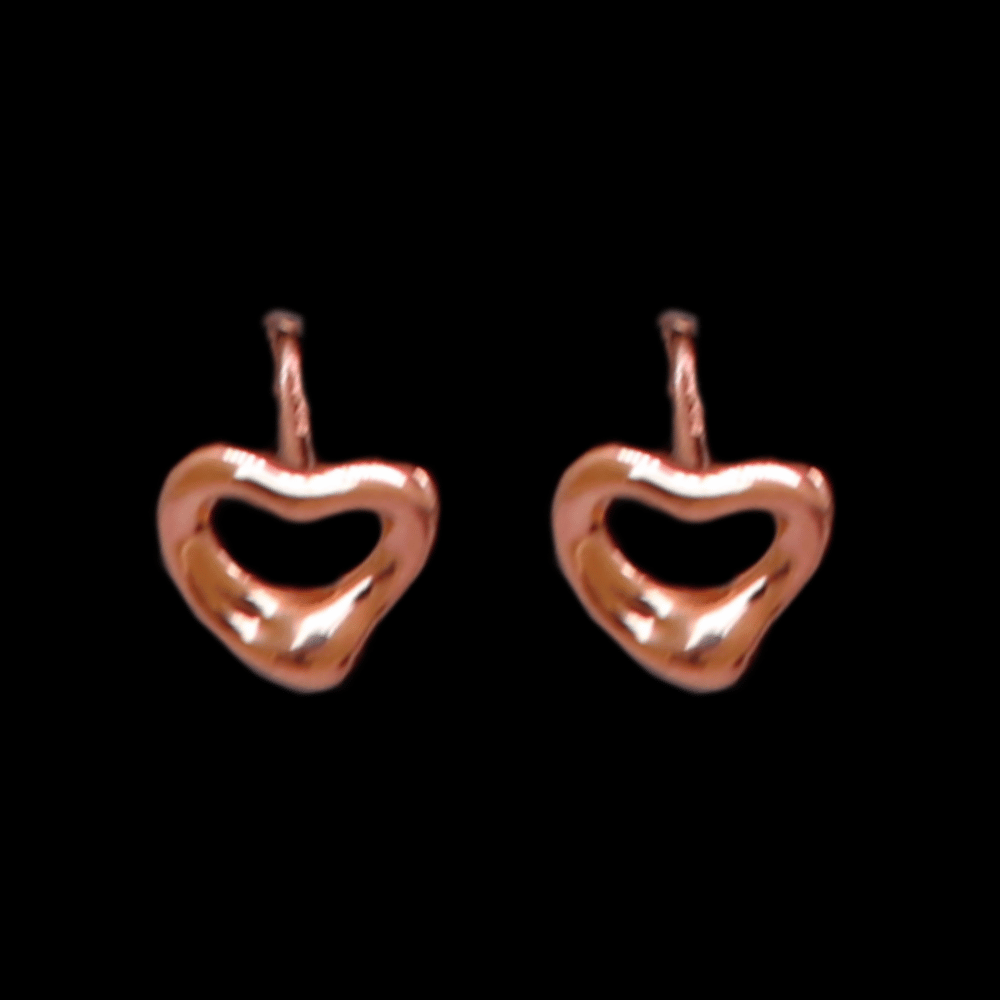 18K Gold Earrings      