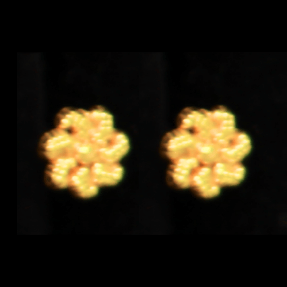 22K Gold Earrings         