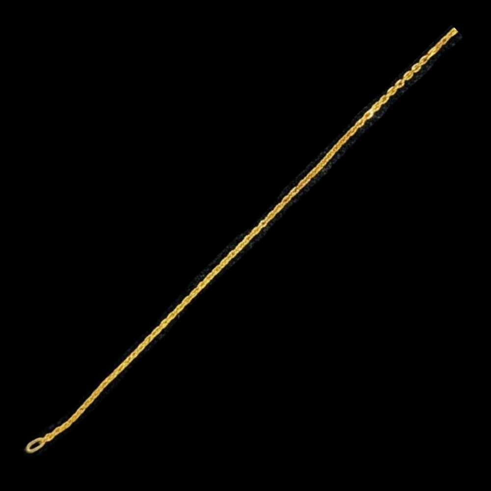 22K Gold Chain      